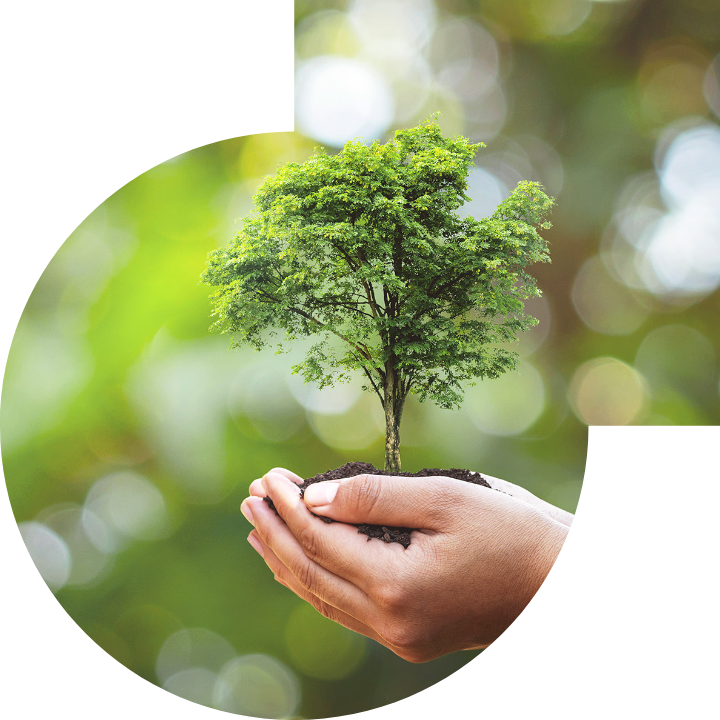 關懷人類、文化、環境與社會